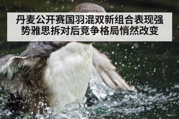 丹麦公开赛国羽混双新组合表现强势雅思拆对后竞争格局悄然改变