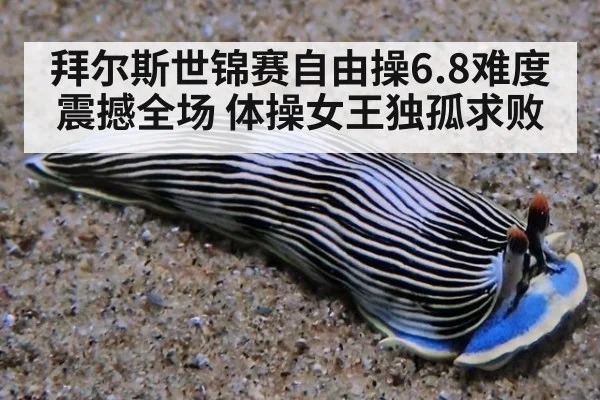 拜尔斯世锦赛自由操6.8难度震撼全场 体操女王独孤求败