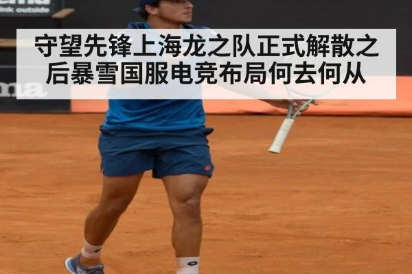 守望先锋上海龙之队正式解散之后暴雪国服电竞布局何去何从